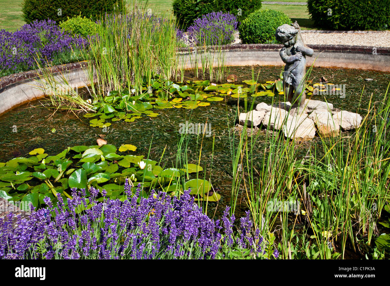 Gartenteich mit Statue und Lavendel in einem englischen Landhaus in Berkshire, England, UK Stockfoto