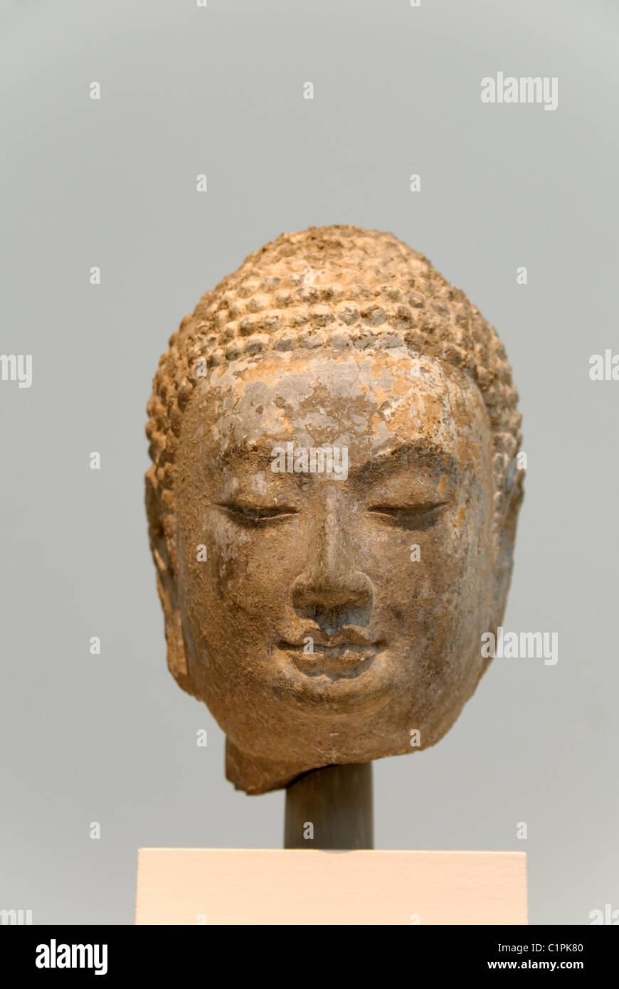 Kopf eines Buddha, ca. 570; Nördliche Qi-Dynastie Stockfoto