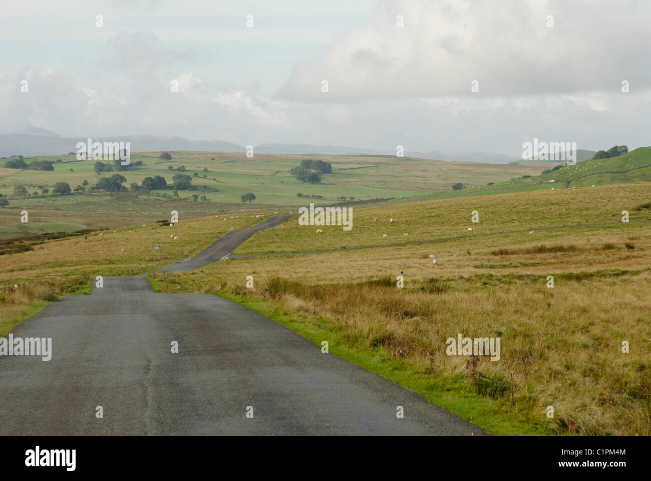 England, Cumbria, Caldbeck, schmale Straße durch Land Stockfoto