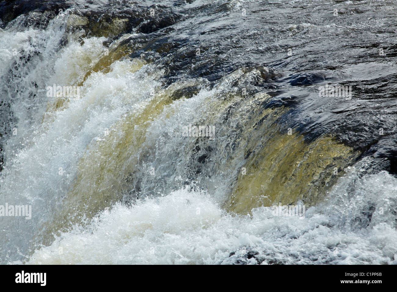 Haruru Falls, Paihia, Bay of Islands, Northland, North Island, Neuseeland Stockfoto