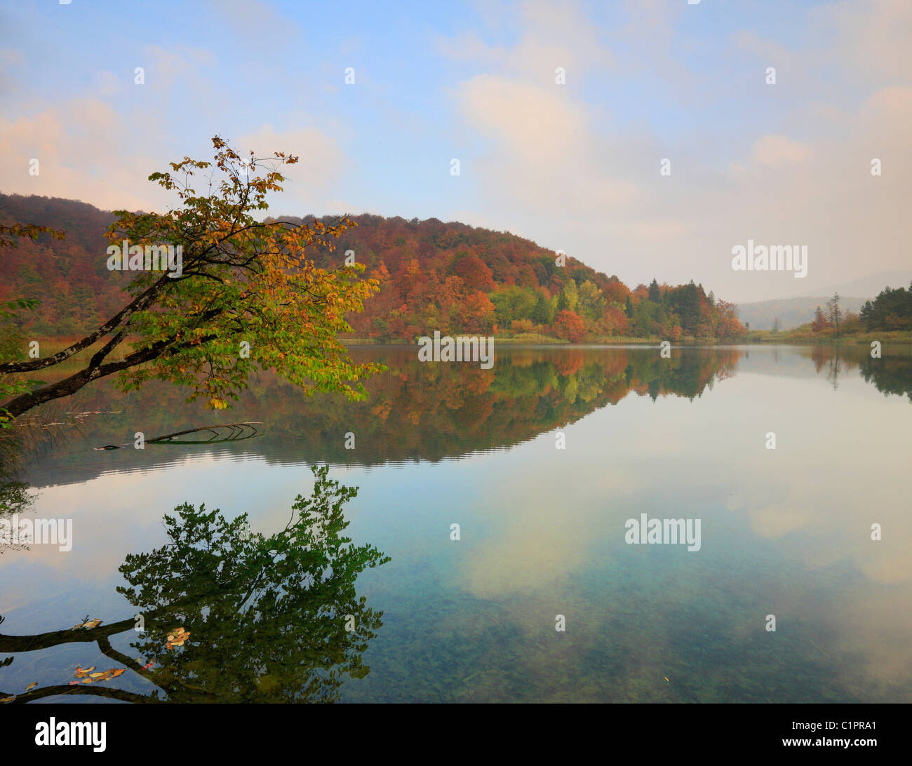 Plitvicer Seen, Nationalpark Stockfoto