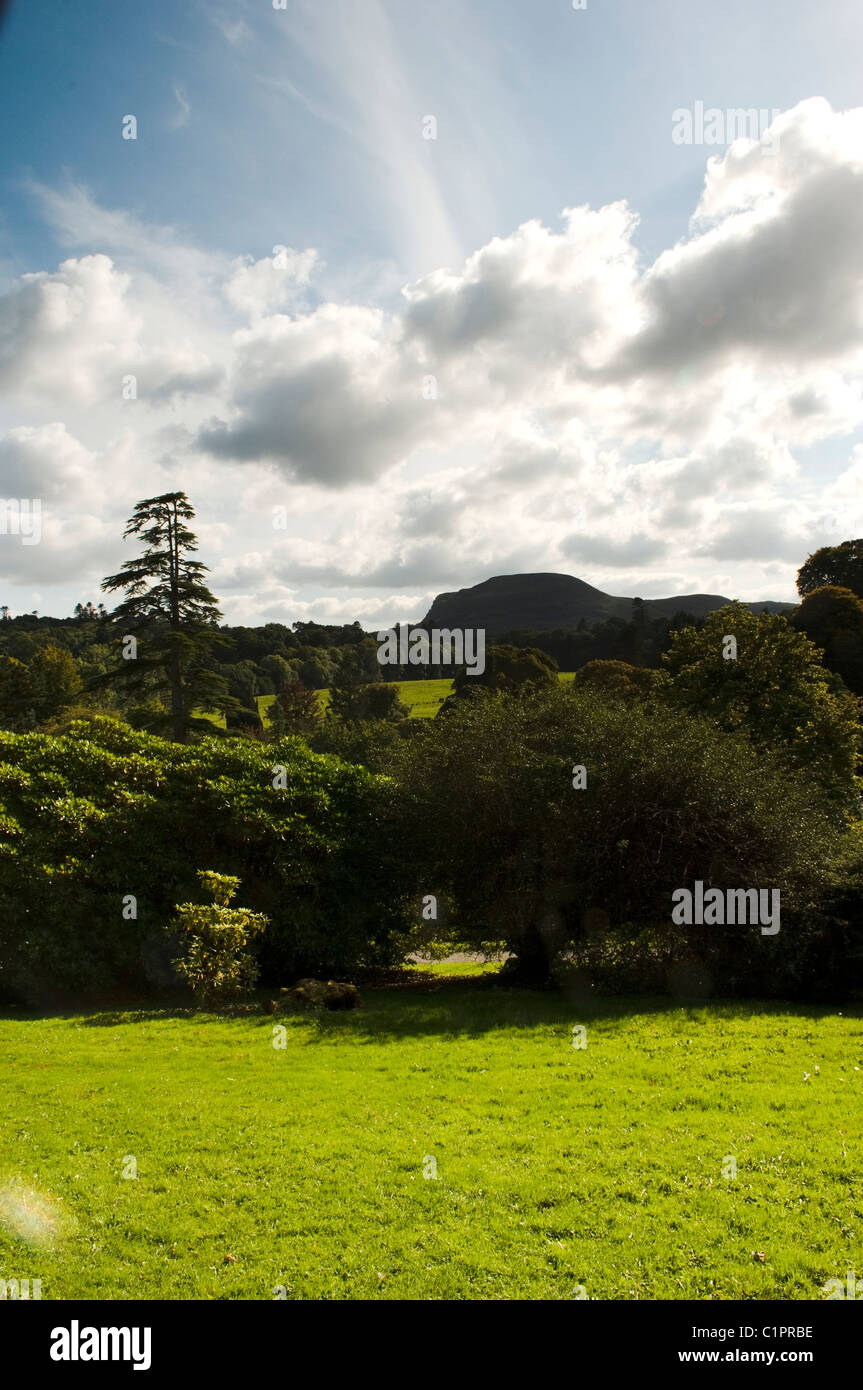 Nordirland, Fermanagh Lakelands, Blick über Florenz Gericht Parkland Stockfoto