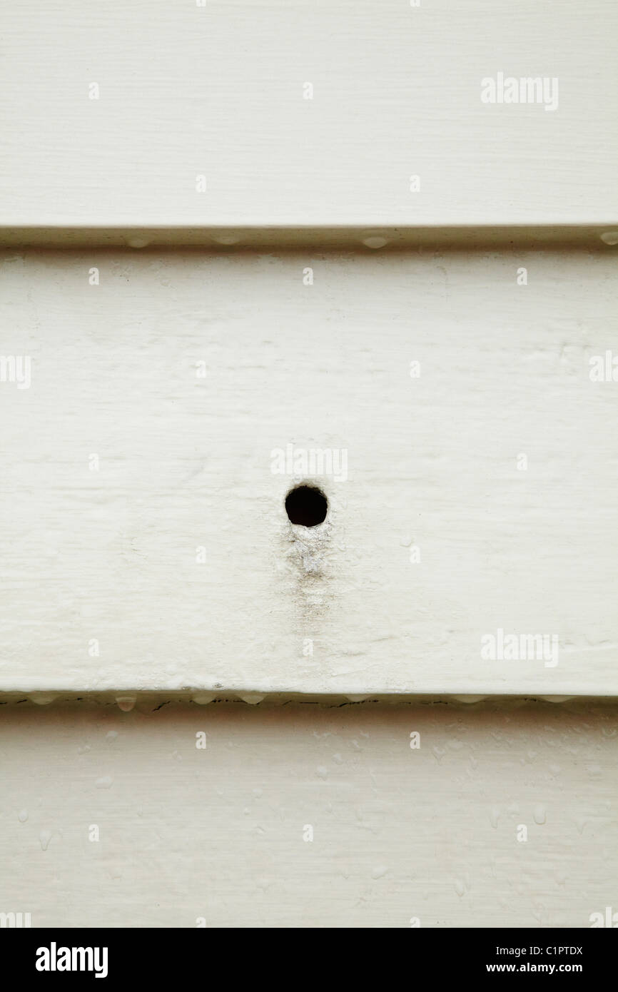 Historischen Einschusslöcher in Christus Kirche Russell (1836), Bay of Islands, Northland, Nordinsel, Neuseeland Stockfoto