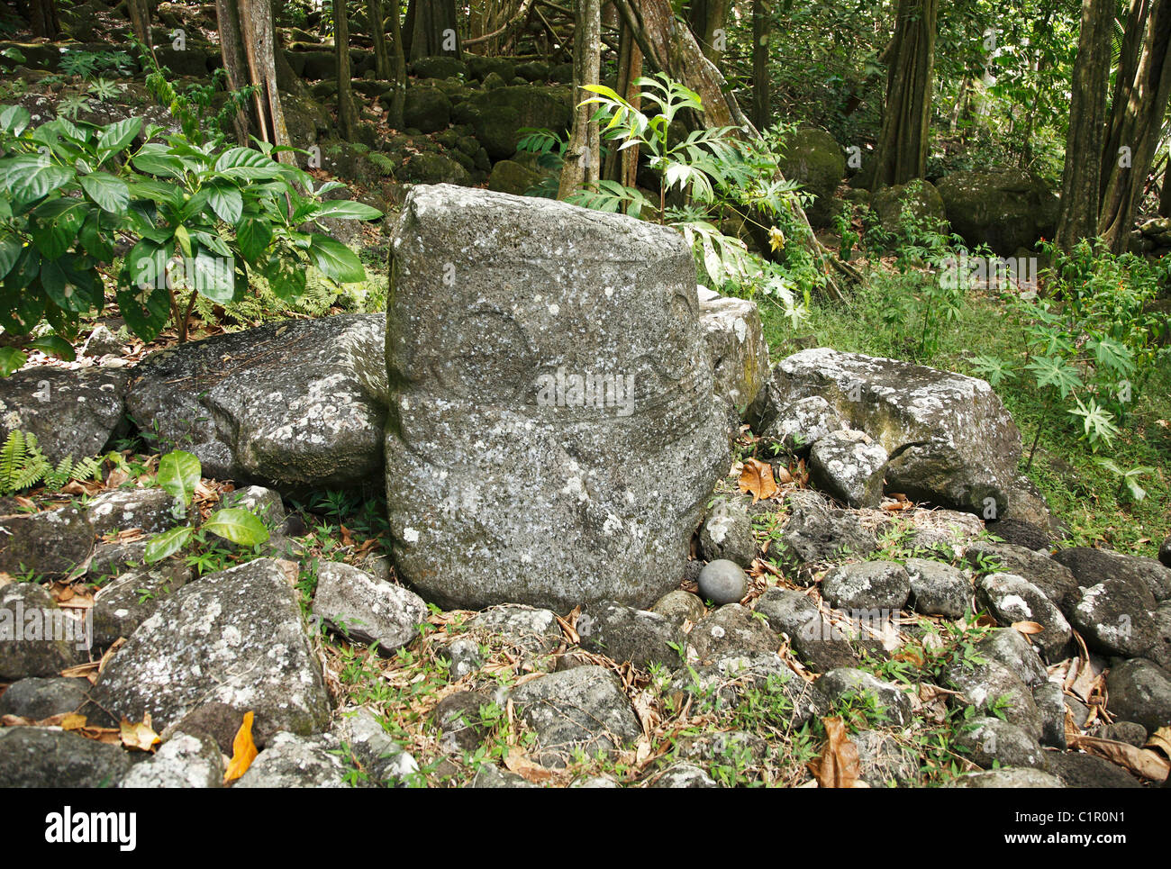 Tiki (Stein humanoiden Objekt) in Marquesas-Inseln, Französisch-Polynesien. Stockfoto