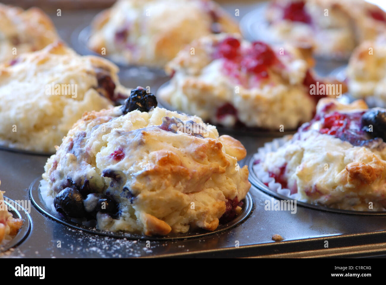 Frisch gebackene Muffins mit Beeren Stockfoto