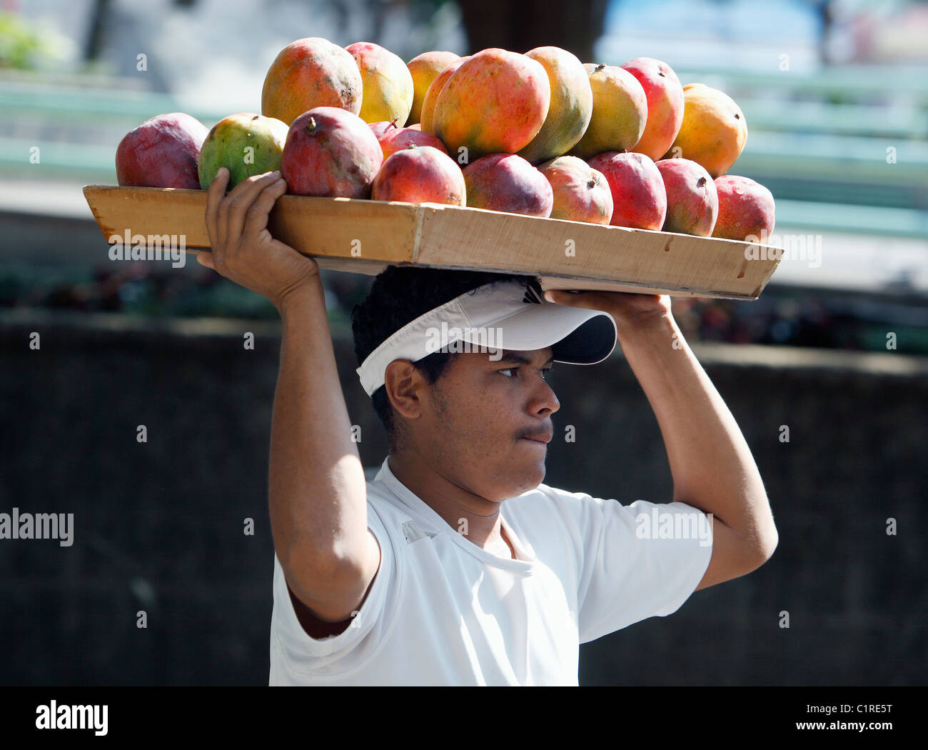 Bürgersteig-Anbieter mit Mangos, San Jose, Costa Rica Stockfoto