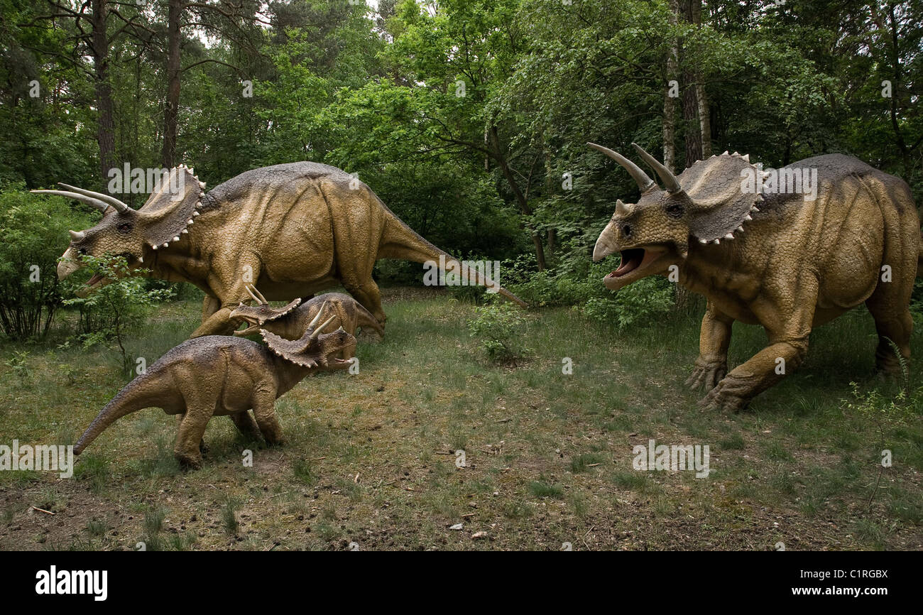 Dinosaurier - drei Dinosaurier Zuniceratops in natürlicher Umgebung Stockfoto