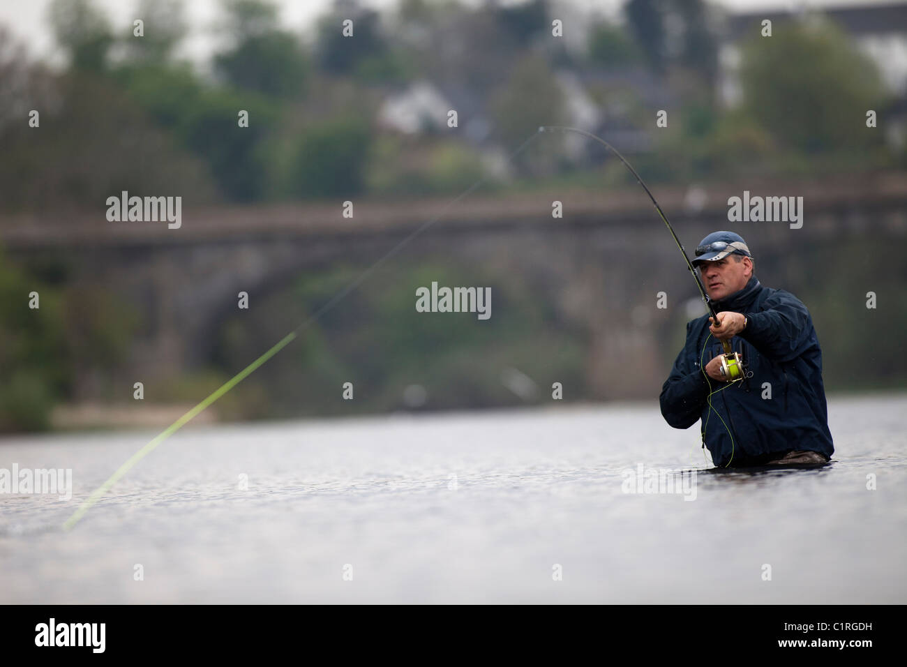 Lachsangeln auf dem Fluss Tweed in der Nähe von Kelso Scottish Borders. Stockfoto