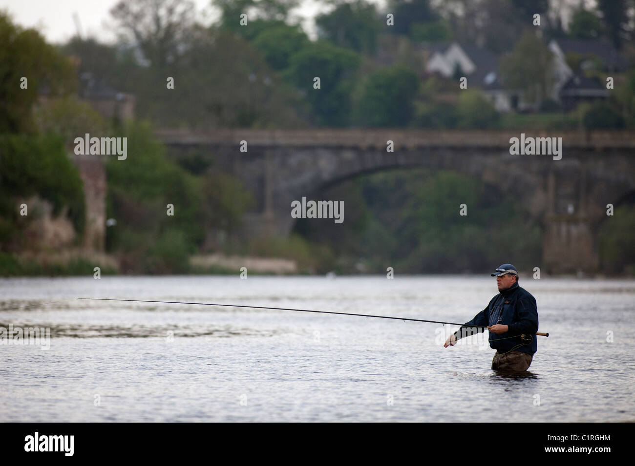 Lachsangeln auf dem Fluss Tweed in der Nähe von Kelso Scottish Borders. Stockfoto