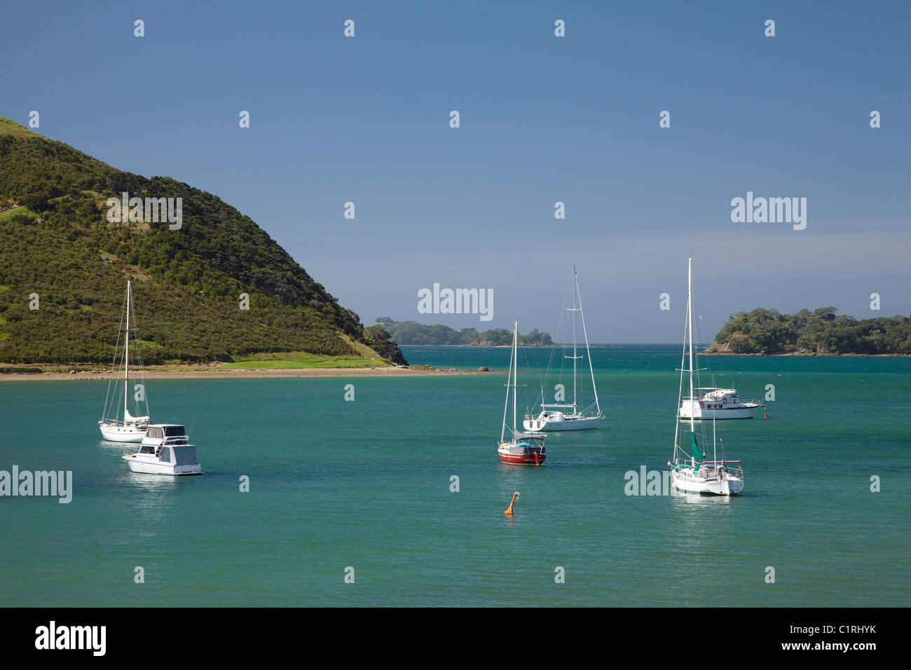 Yachten ankern in Waipiro Bay, Parekura Bay, Bay of Islands, Northland, Nordinsel, Neuseeland Stockfoto