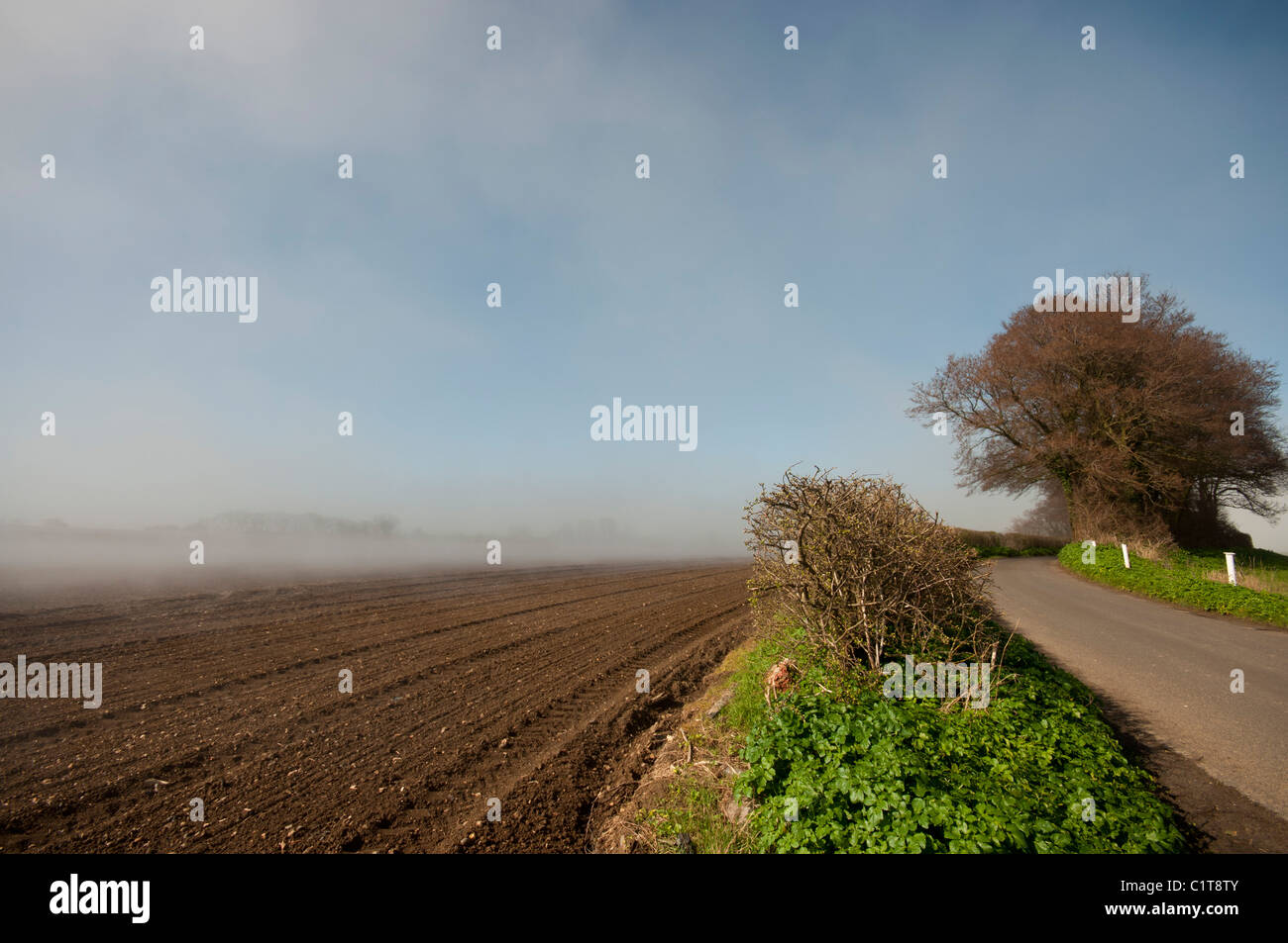 Nebel steigt aus Feld am frühen Morgen hell warme Sonne brennt das Wasser vom Acker Stockfoto
