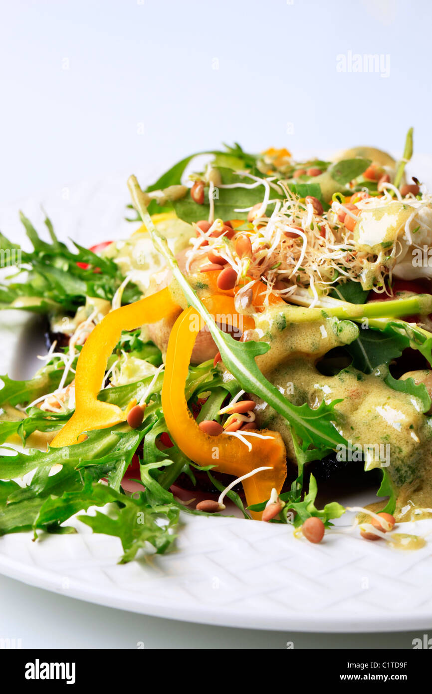 Rucola-Salat mit Champignons und Linsen Sprossen Stockfoto