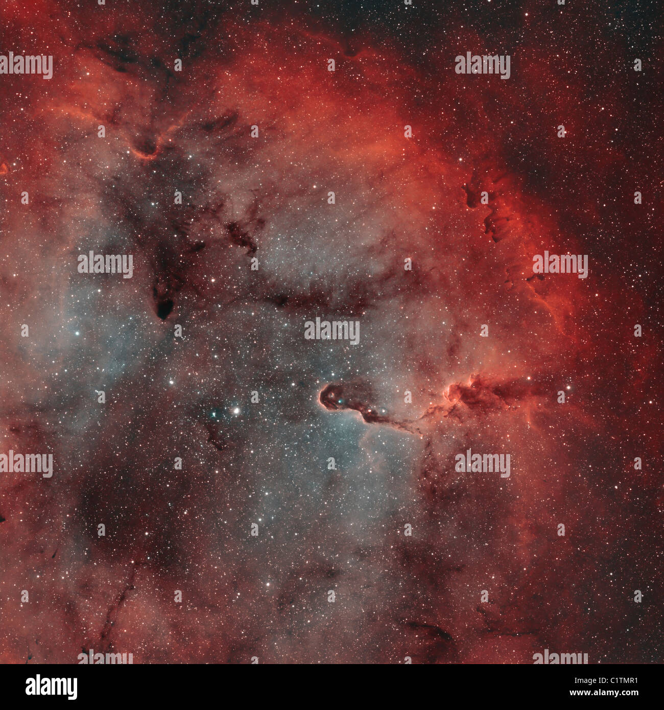 IC 1396, Elephant Trunk Nebula Stockfoto