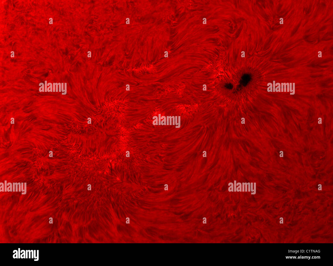 H-Alpha Sonne in rot mit Sonnenflecken. Stockfoto