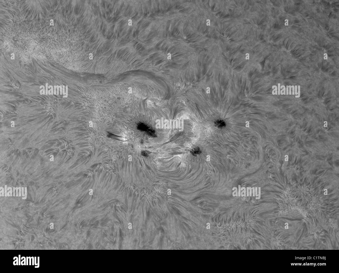 H-Alpha Sonne mit aktiven Fläche. Stockfoto