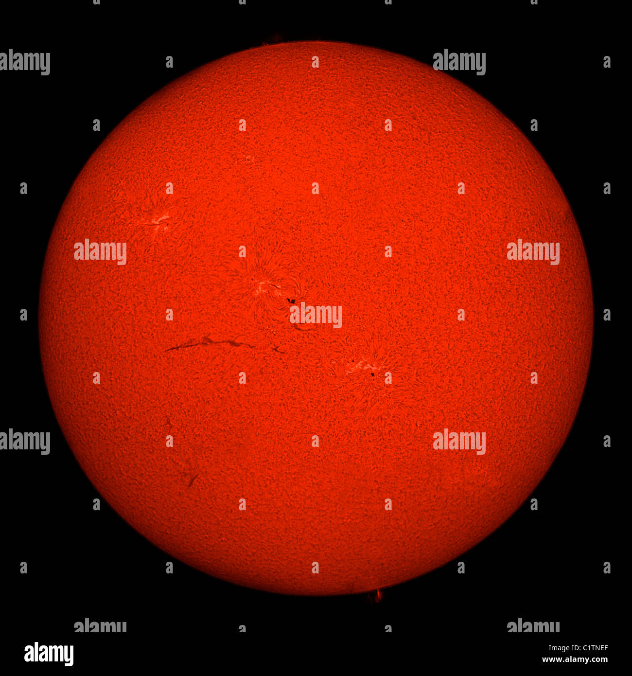 H-Alpha voller Sonne in roter Farbe mit aktiven Bereichen und Filamente. Stockfoto