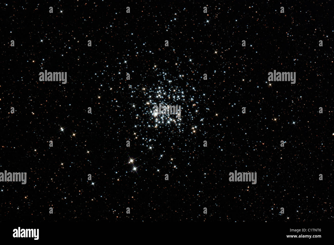 Die wilde Ente Cluster, auch bekannt als Messier 11, im Sternbild Scutum. Stockfoto