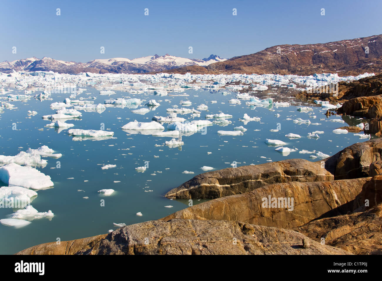 Eisschollen im Sermilik fjord Stockfoto