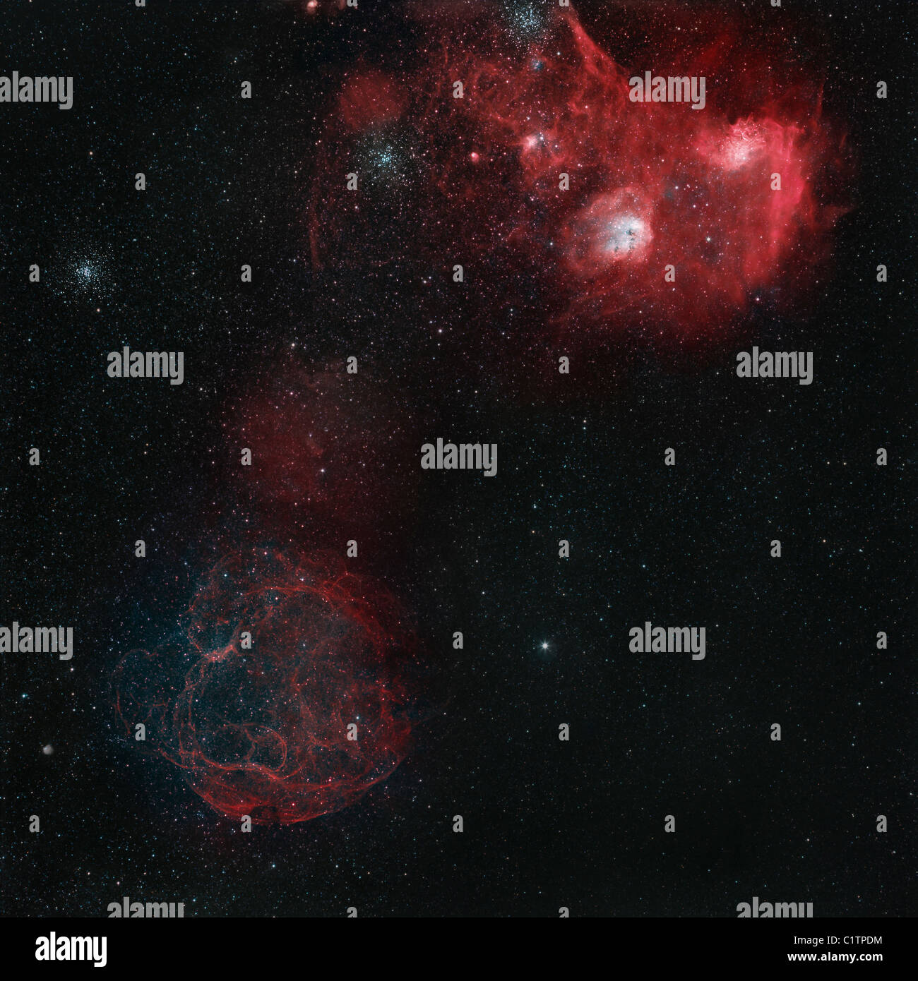 Weitfeld-Blick auf Simeis 147, Flaming Star Nebel und der Kaulquappe-Nebel. Stockfoto