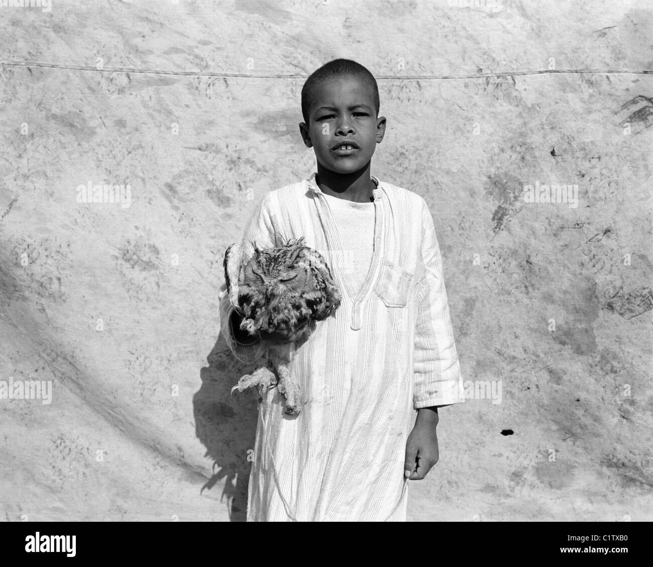 Junge mit seinem Haustier Eule, Kamelmarkt, Daraw, Oberägypten Stockfoto