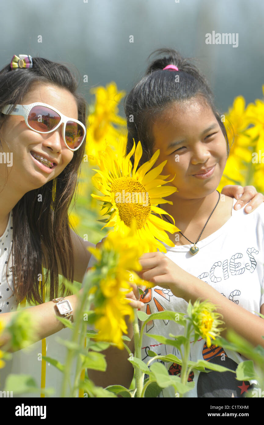 Mädchen posiert mit Sonnenblumen, Sonnenblumenfelder von Lopburi, Zentral-thailand Stockfoto