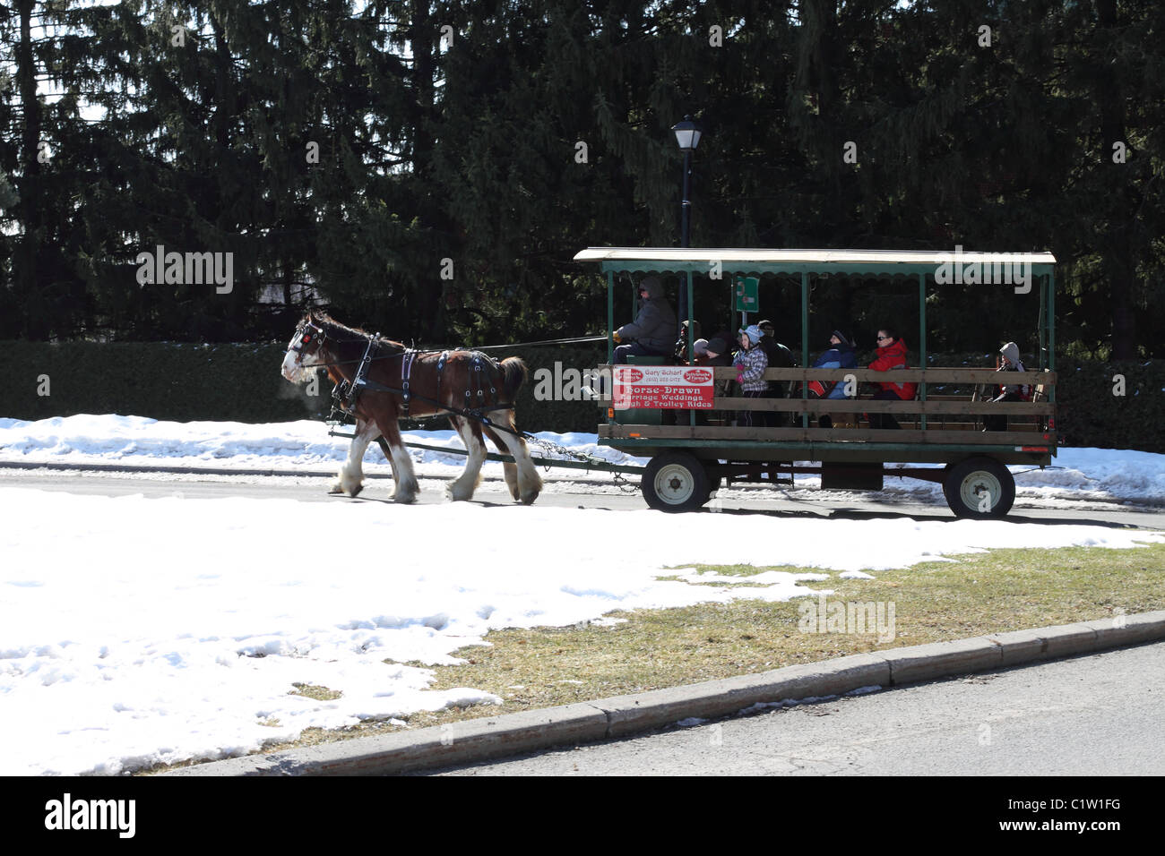 Kanadische Küche Stockfoto