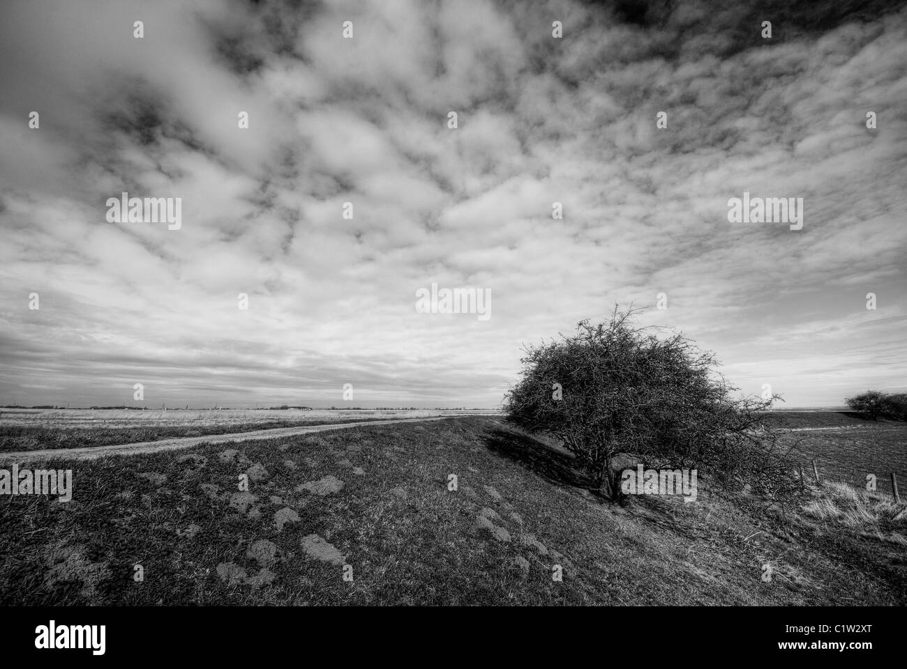 Ein Landschaftsbild von einer Fläche in der Nähe von Alkborough Wohnungen, North Lincolnshire, Großbritannien Stockfoto