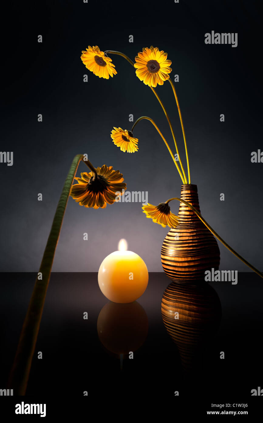 Blumen werden durch das Licht einer Kerze angezogen, und biegen Sie in Richtung zu ihm. Stockfoto