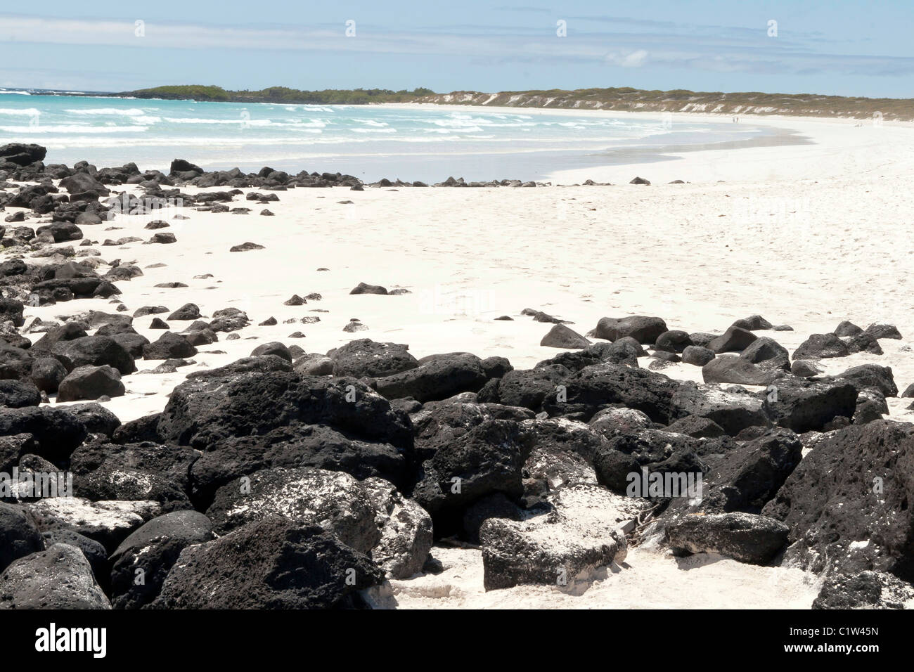 Tortuga weißen Sandstrand in Galapagos-Inseln (Santa Cruz Island) Stockfoto