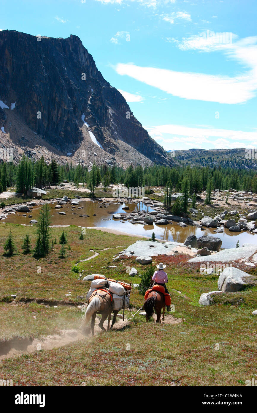 USA, Washington, Pasayten Wildnis, Cowboy mit zwei Pferden unterwegs Stockfoto