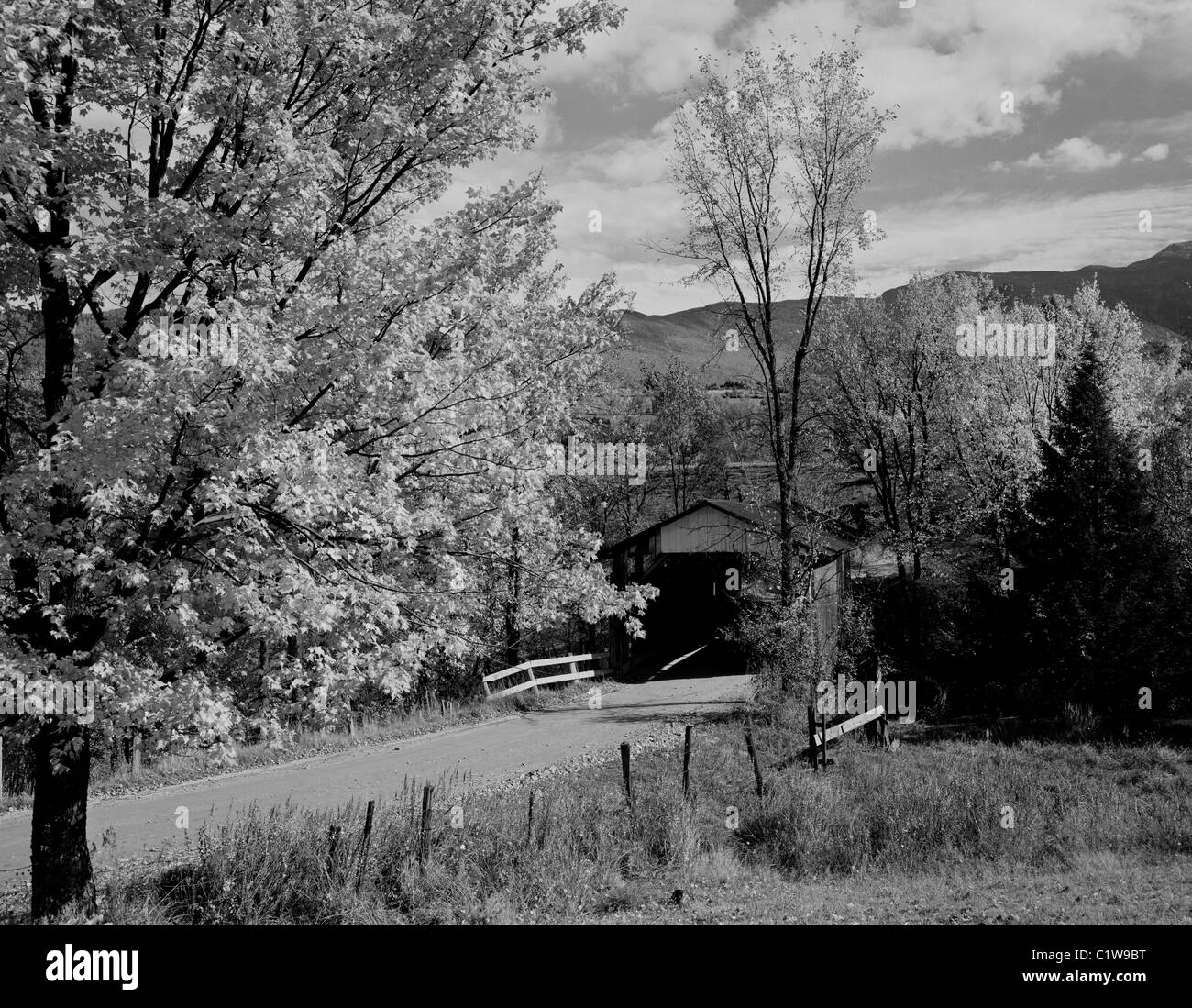 USA, Vermont, in der Nähe von flachen Underhill, überdachte Brücke und Straße Stockfoto