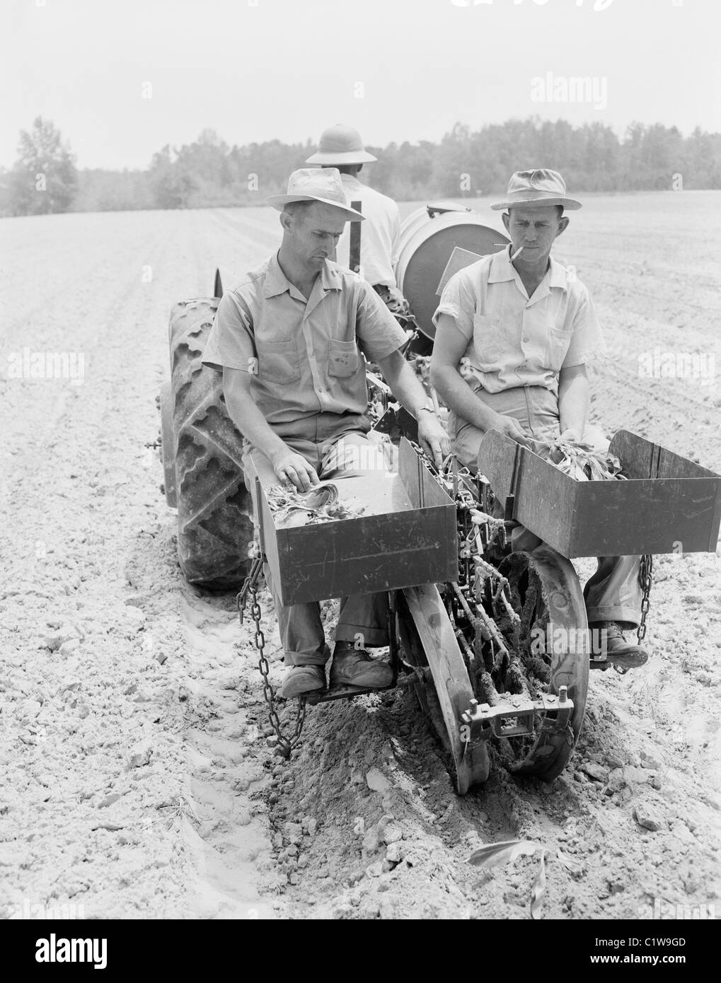 Bauern auf Traktor Stockfoto