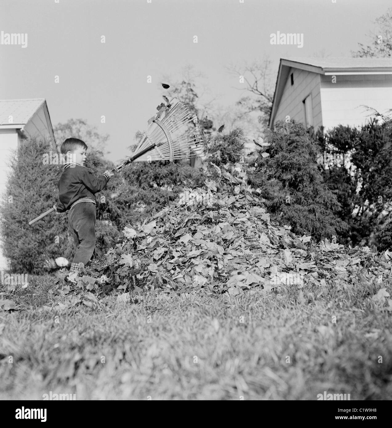 Junge tot Laubrechen im Garten Stockfoto