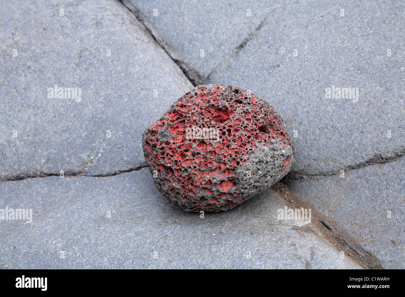 Vulkanischer Stein, Basalt Lava-Bombe mit Eisenoxid und Gasblasen, Caldera de Taburiente, La Palma, Kanarische Inseln, Spanien Stockfoto