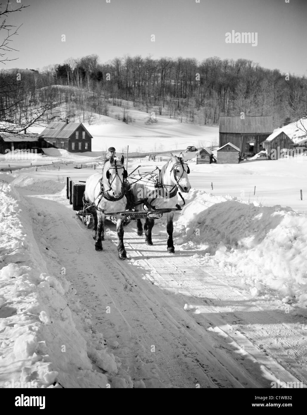 Pferde ziehen Schlitten im winter Stockfoto