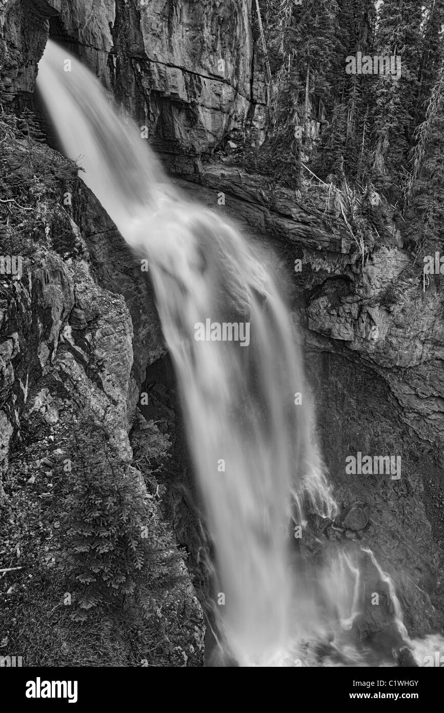 Wasserfall, Banff Nationalpark, Alberta, Kanada Stockfoto