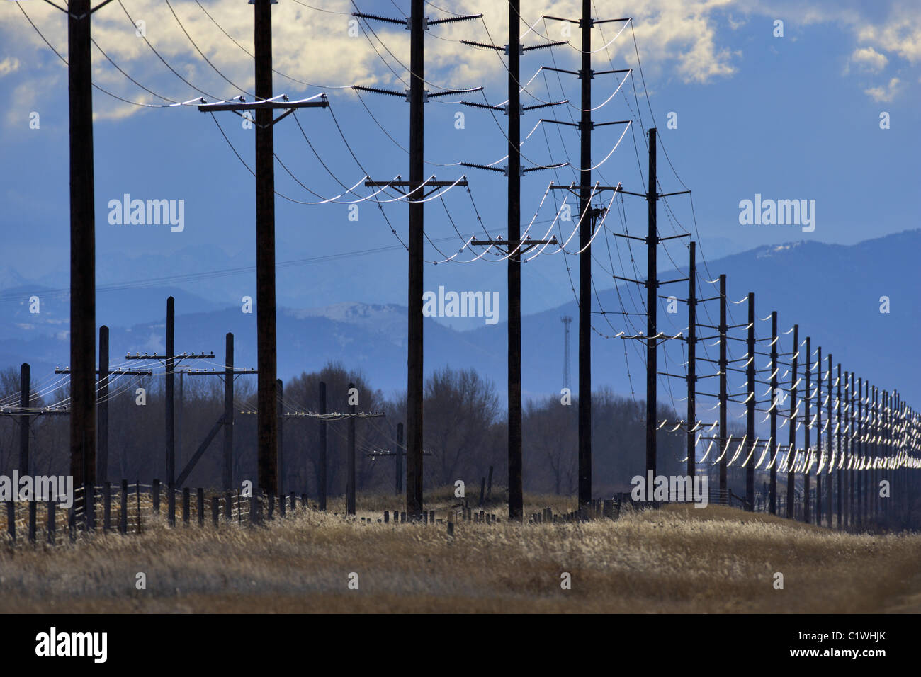 Strommasten in einem Feld, Montana, USA Stockfoto