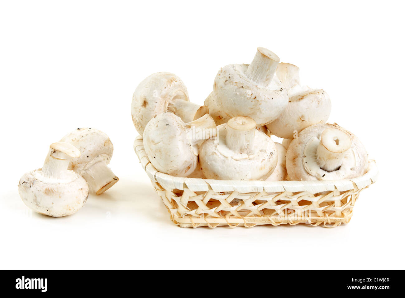 Pilze Champignon in hölzernen Korb auf weißem Hintergrund Stockfoto