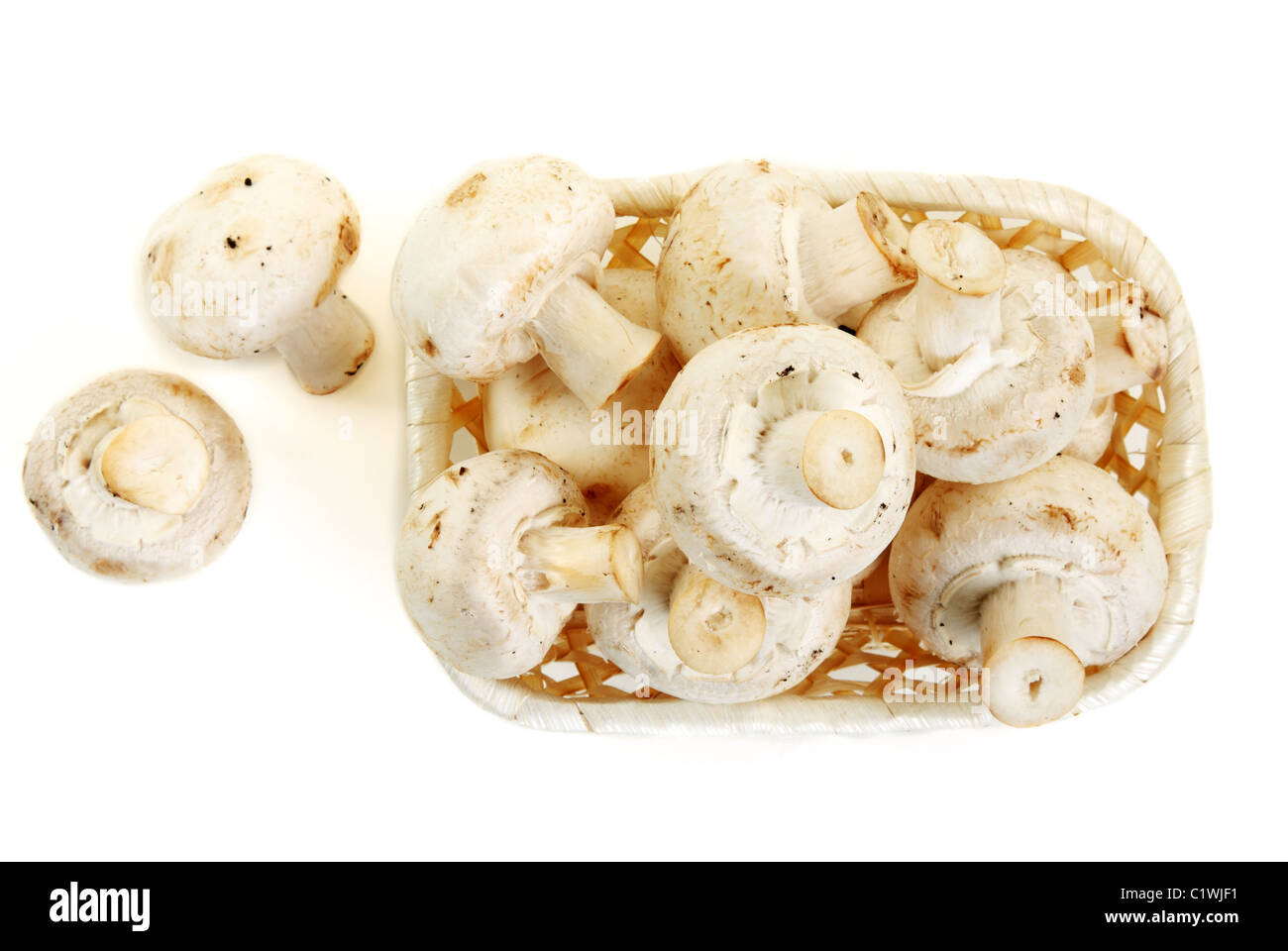 Pilze Champignon in hölzernen Korb auf weißem Hintergrund Stockfoto