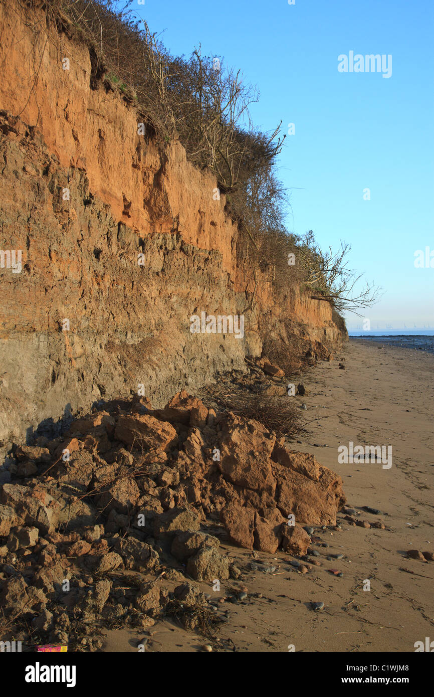 Klippen entlang der Küste von Essex kollabieren durch Küstenerosion Stockfoto