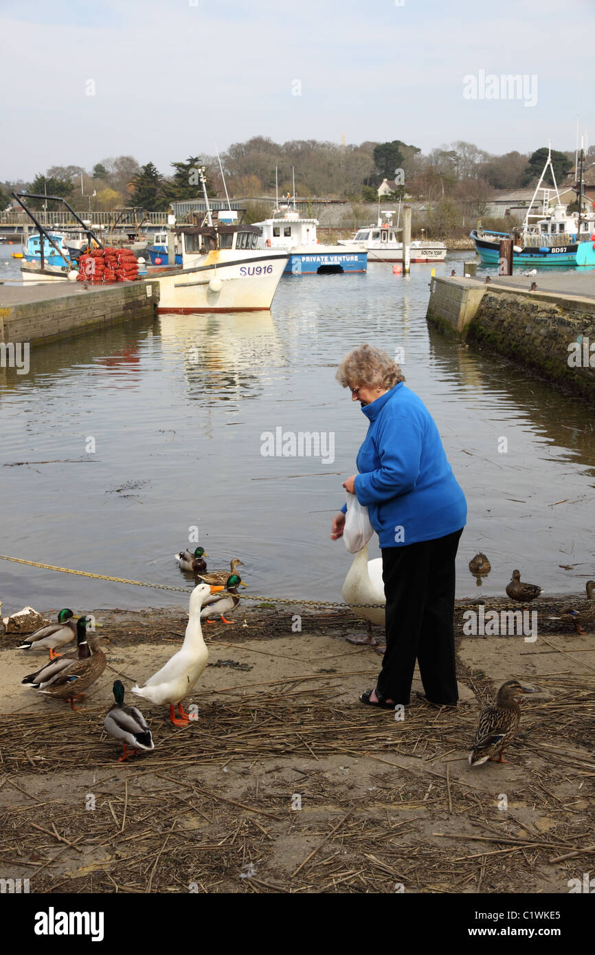 Frau, Fütterung der Vögel in Lymington in Hampshire Stockfoto