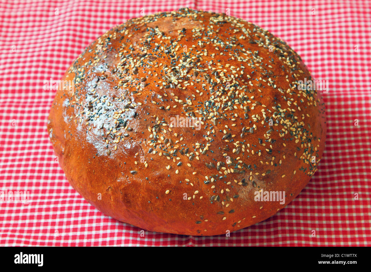 Zu Hause frisch gebackenes Brot Stockfoto