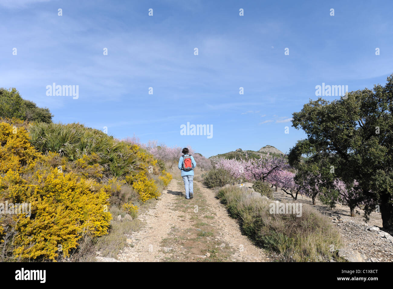 Ansicht von hinten Frau Wandern auf dem Berg, in der Nähe von Salta, Vall de Laguart, Provinz Alicante, Valencia, Spanien Stockfoto