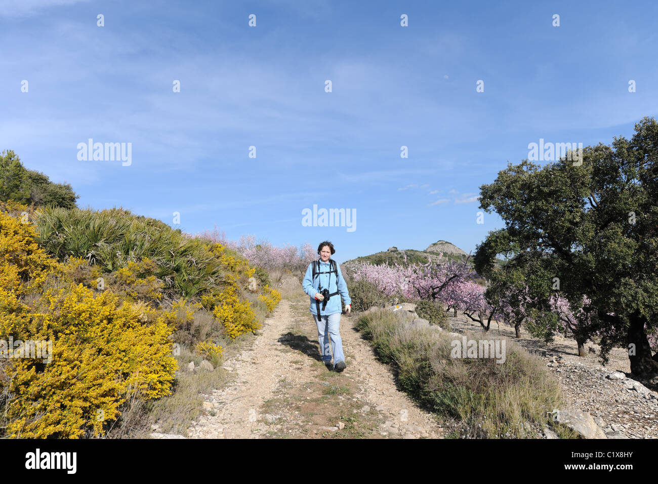 Frau Wandern auf dem Berg, in der Nähe von Salta, Vall de Laguart, Provinz Alicante, Valencia, Spanien Stockfoto