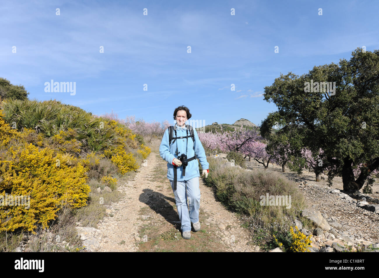 Frau Wandern auf dem Berg, in der Nähe von Salta, Vall de Laguart, Provinz Alicante, Valencia, Spanien Stockfoto