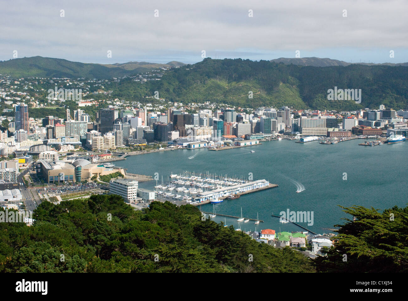 Blick über die Bucht von Wellington, mit Marina im Vordergrund und Geschäftsviertel und Hügeln im Hintergrund, Wellington, Neuseeland Stockfoto