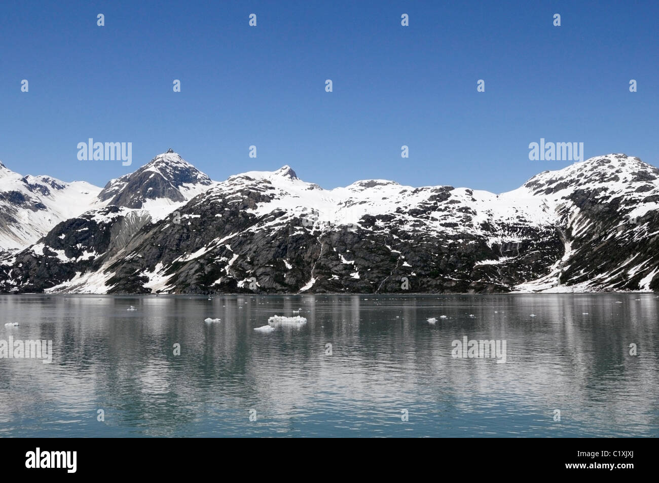 Glacier Bay in Alaska Stockfoto