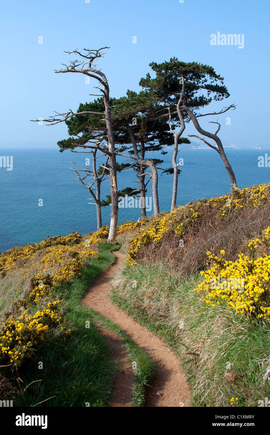 Der South West Coast Fuß Path in der Nähe von Hl.Antonius, Roseland, Cornwall, UK Stockfoto