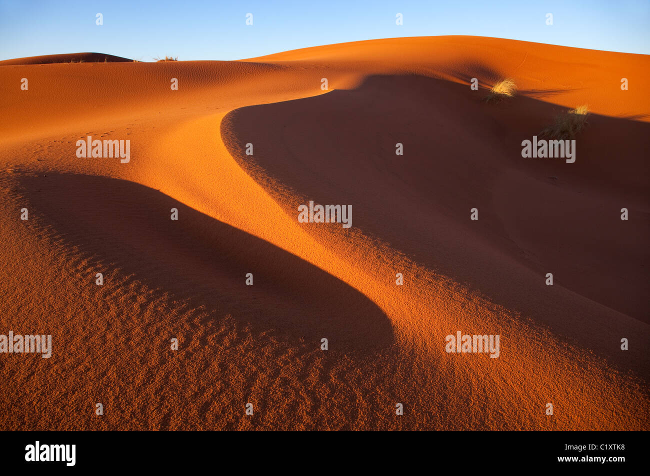 Erg Chebbi Sanddünen entfernt am Rande der Sahara Wüste in Marokko Nordafrika im Morgengrauen Anfang März Stockfoto