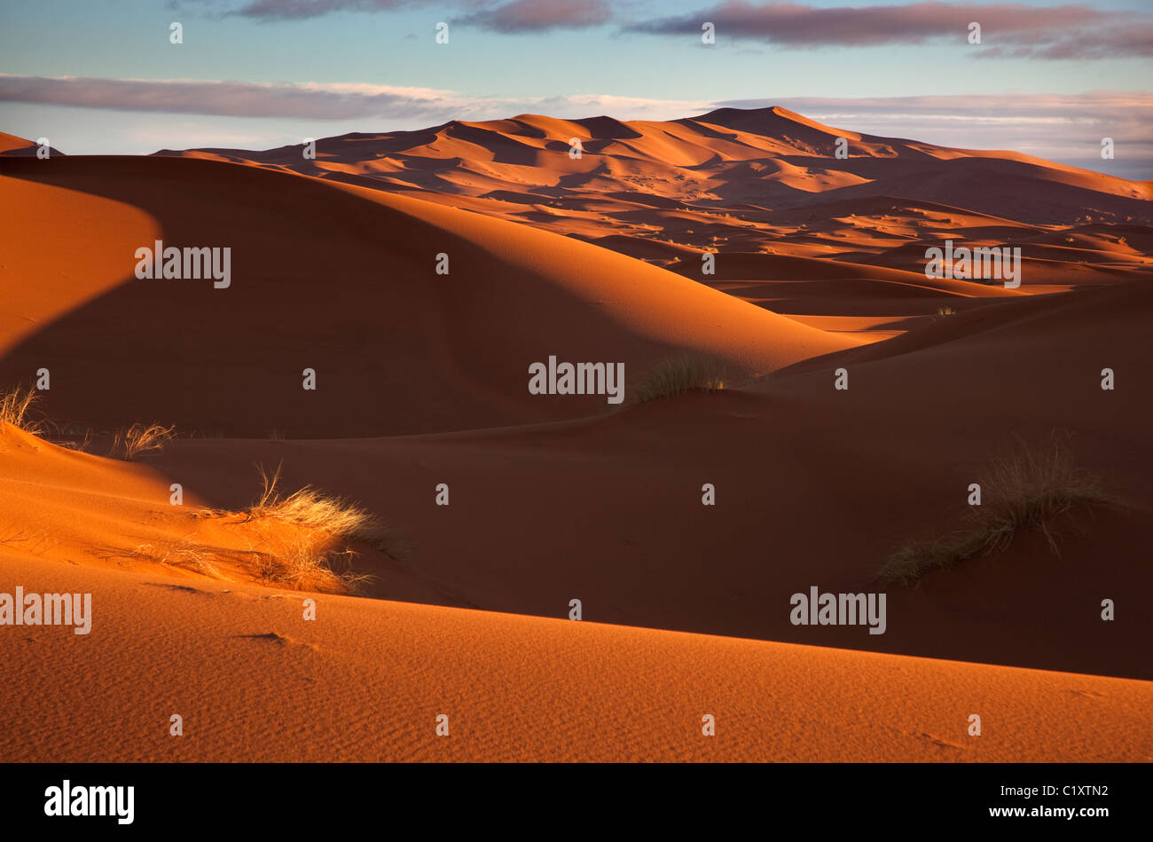 Erg Chebbi Sanddünen entfernt am Rande der Sahara Wüste in Marokko Nordafrika im Morgengrauen Anfang März Stockfoto